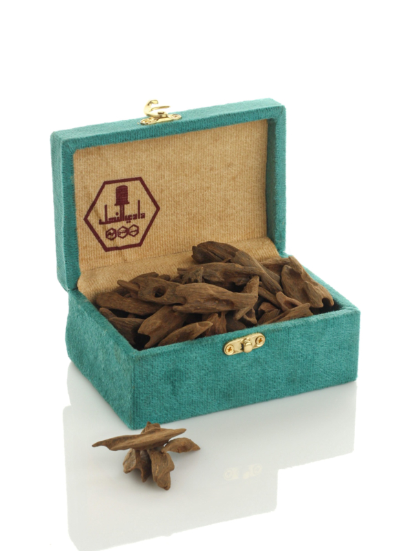 عود أزرق موركي 2 – جودة تتحدث بلونها